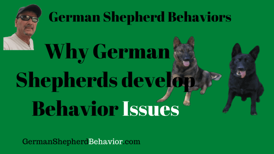 German Shepherd training. How to solve bad behaviors.