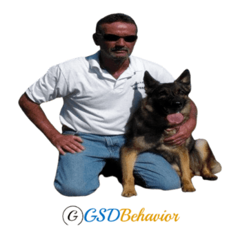 All about German Shepherd Behavior